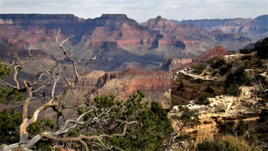 Grand Canyon S. Rim photo