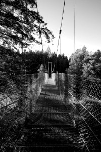 Suspension Bridge photo