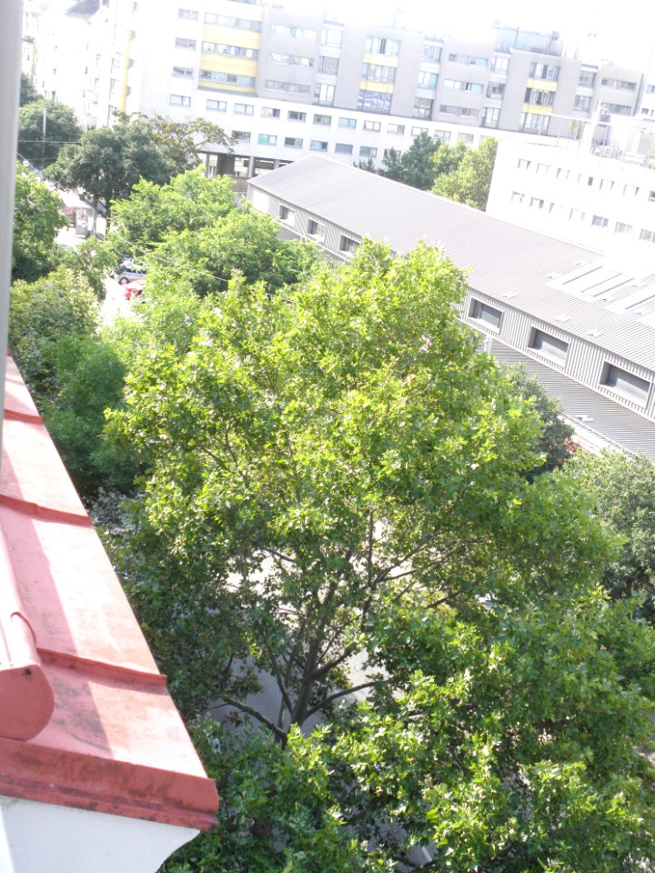 Wien