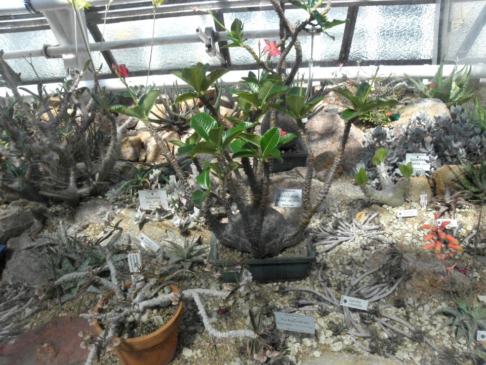 Botanischer Garten