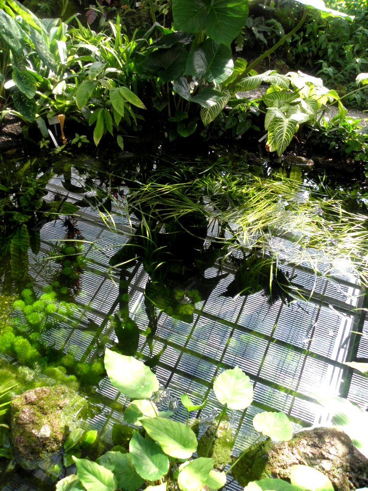 Botanischer Garten