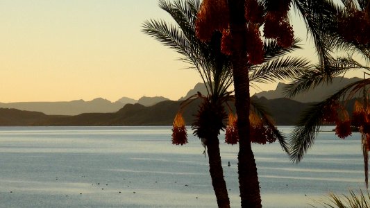 151105 Lake Havasu City
