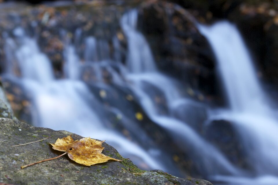 Fall water landscape