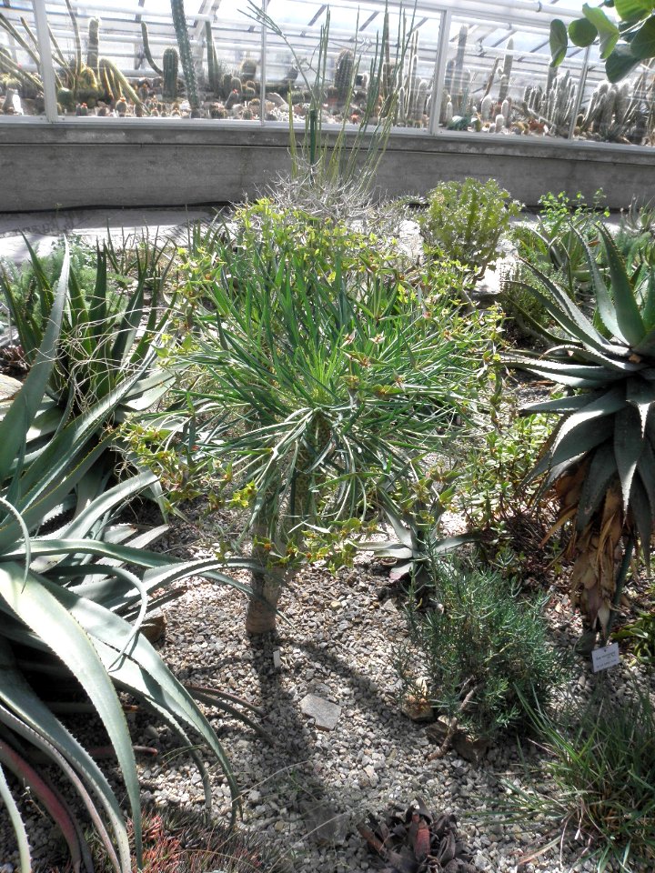 Botanischer Garten
