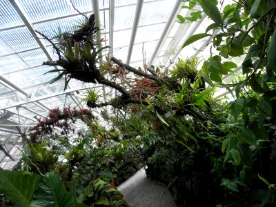 Botanischer Garten