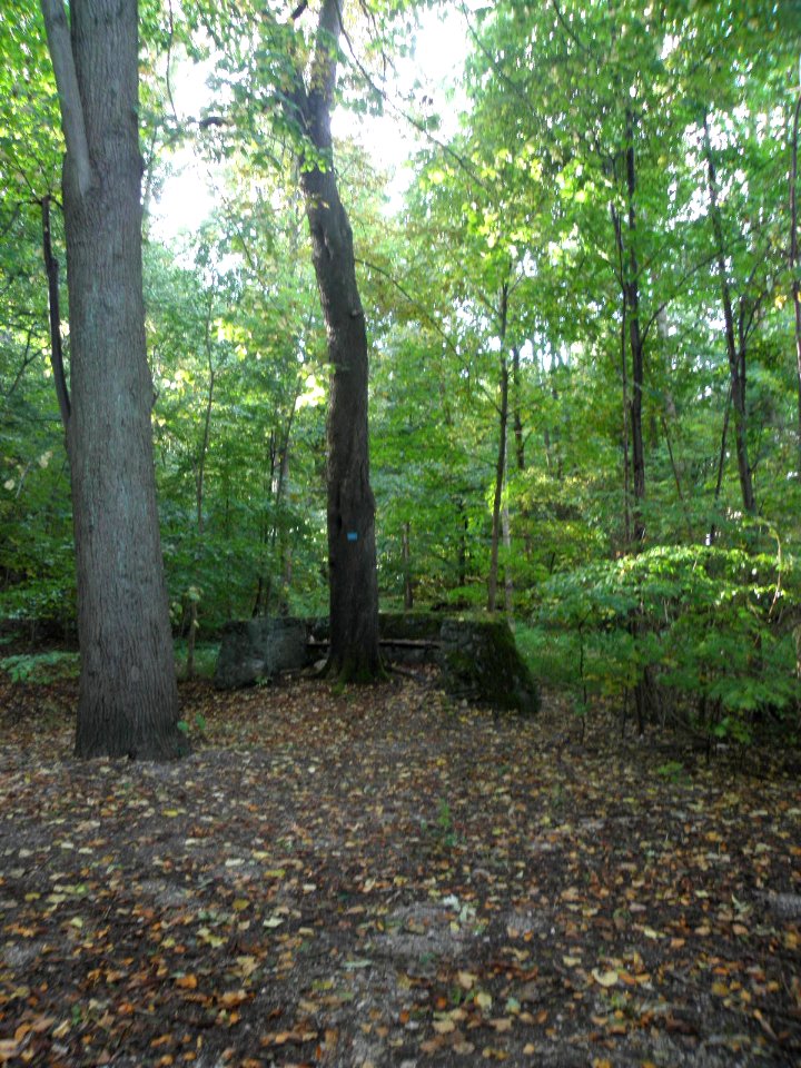 PA060009