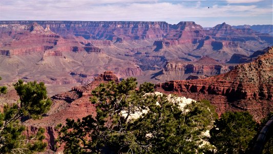 Grand Canyon S. Rim photo