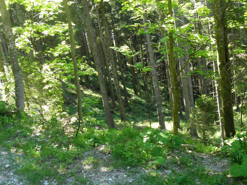 Ausflug Bad Tölz 28.05.2015