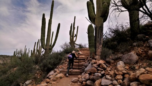 Catalina State Park