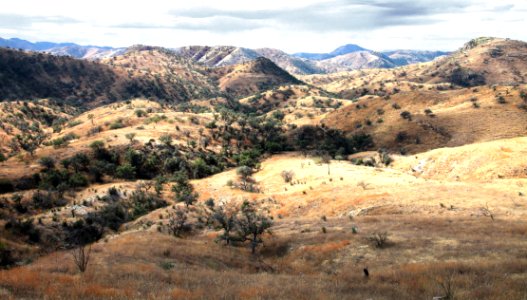 SYCAMORE CANYON, scc, az - 100 (11-8-12) ruby road east of sycamore cyn -02