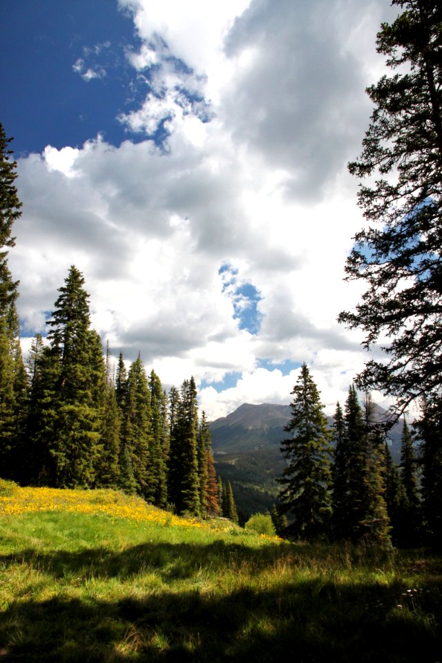 DUNTON MEADOW -11, west of,  groundhog mt, at 10,300 ft pass, dolores co, co - (8-26-12) -03