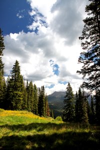 DUNTON MEADOW -11, west of,  groundhog mt, at 10,300 ft pass, dolores co, co - (8-26-12) -03