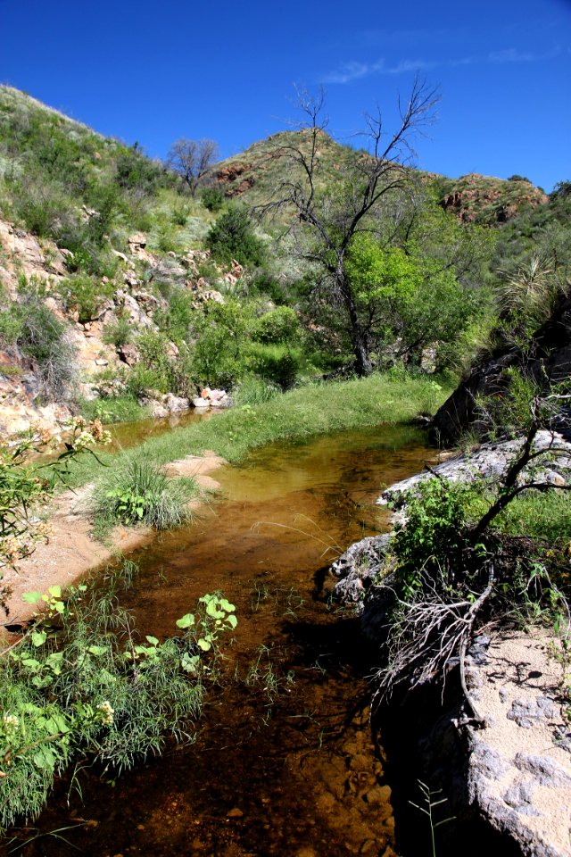 CALIFORNIA GULCH -001e (9-16-12)