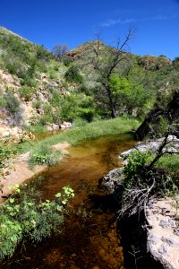 CALIFORNIA GULCH -001e (9-16-12)