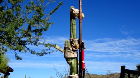 Arizona-Sonora Desert Museum