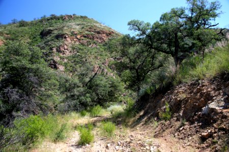 CALIFORNIA GULCH -001a (9-16-12) approach into canyon -01