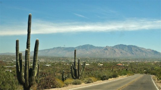Saguaro National Park