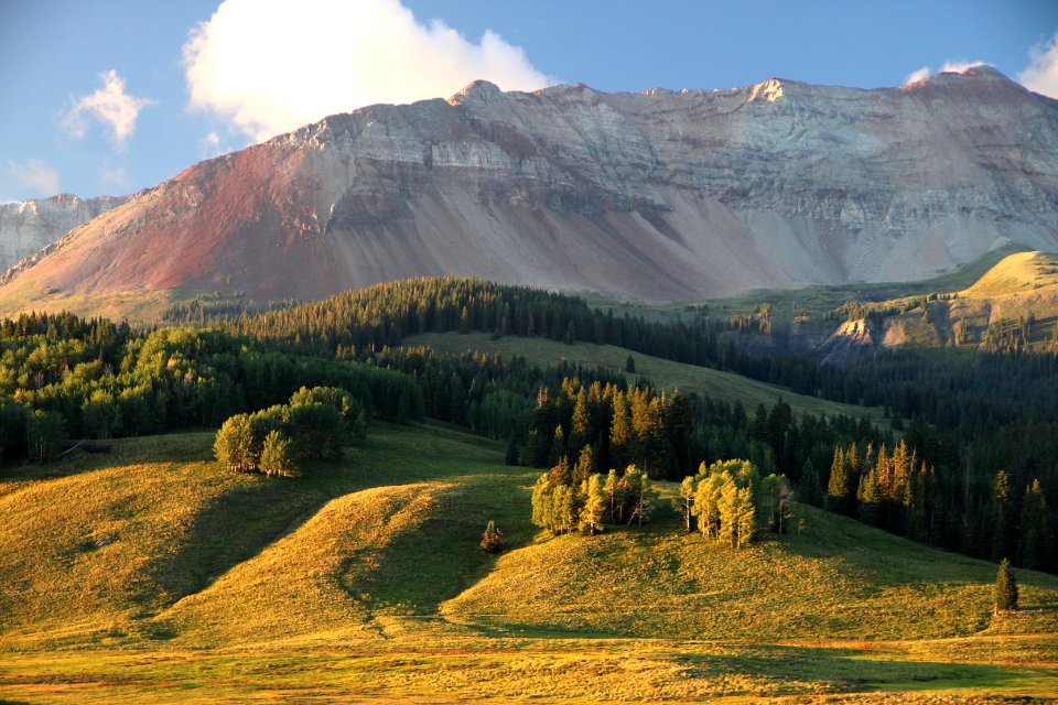 DUNTON MEADOWS -11, near lizard head, dolores co, co - (8-24 25-12) -15