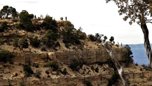 Grand Canyon S. Rim photo