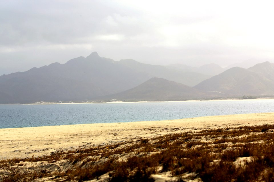 Magdalena Bay, Baja January (12)