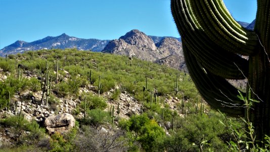 2017.11.11 Catalina State Park photo