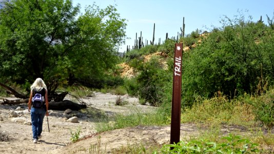 Catalina State Park