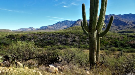 2017.11.11 Catalina State Park photo