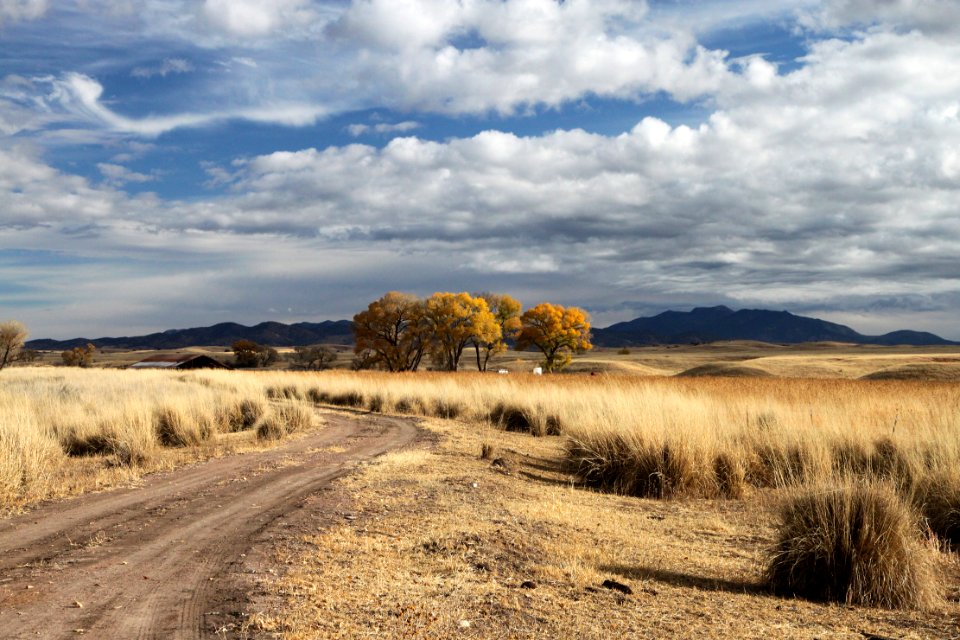 SAN RAFAEL VALLEY GRASSLANDS, SE of Patagonia, scc, az (11-24-11) -06e copy photo