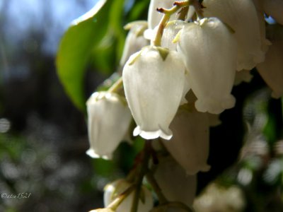 P3210071