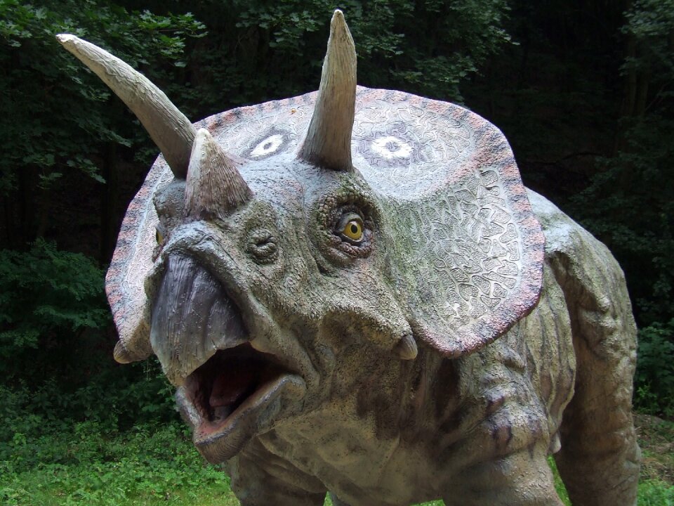 Animal predator herbivore