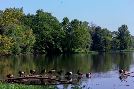 three creeks metro park 7-31-19-8
