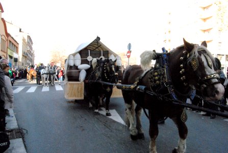 Tres Tombs Igualada 2015 photo