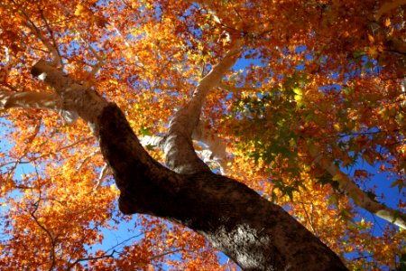 PATAGONIA ROADSIDE REST - 02 (11-30-11) - 14