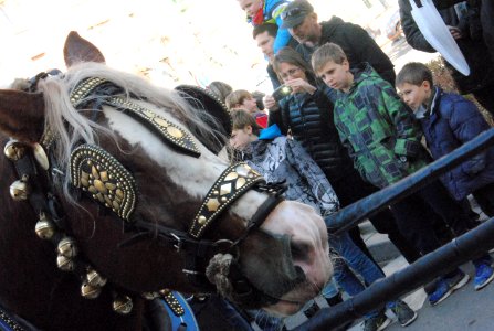 Tres Tombs Igualada 2015 photo