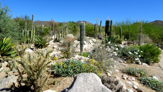 2019.09.30 Sonora Desert Museum