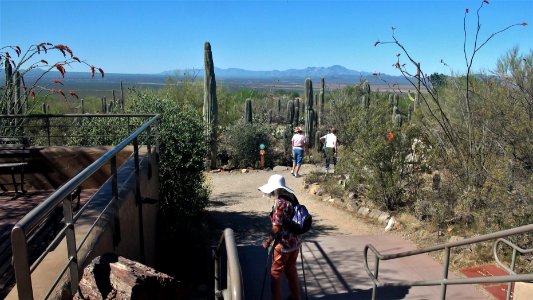 2017.03.26 Desert Museum