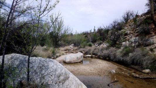 Catalina State Park