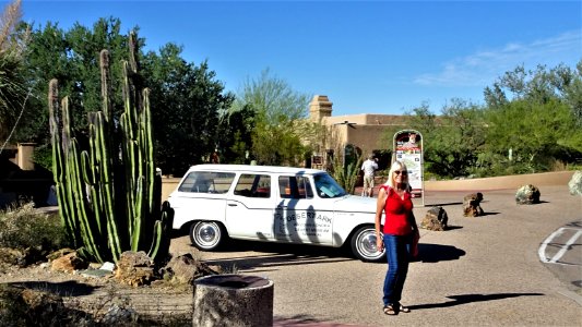 Arizona-Sonora Desert Museum