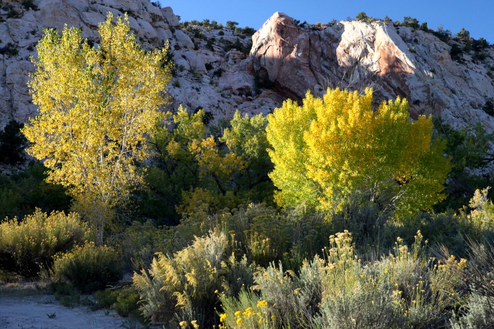 021 - Cottonwood Road campsite (10-15-11) -02