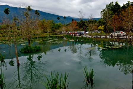 DSC 4309