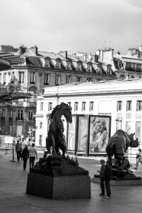 D'orsay statues horse photo