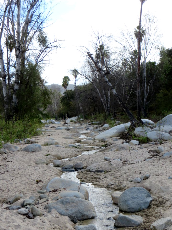 Sierra La Laguna hike through the Wash (8)