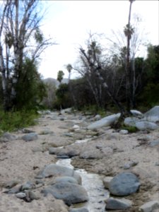Sierra La Laguna hike through the Wash (8) photo
