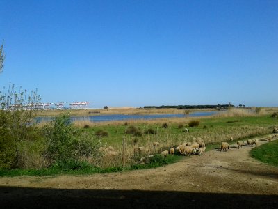 20150412 180733.jpg