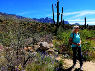 2019.04.07 Catalina State Park