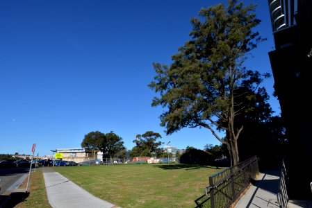 DSC 4650