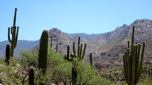 2018.05.19 Catalina State Park