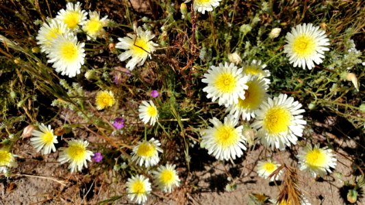 2019.04.07 Catalina State Park
