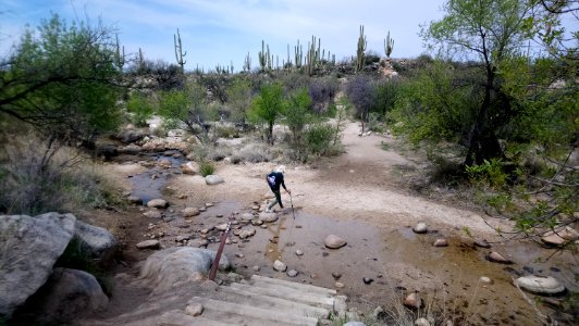 Catalina State Park