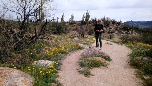 Catalina State Park
